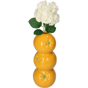 Vaas Appelsienen 