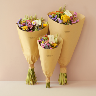 Droogbloemen - Multi - Large