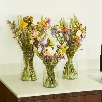Droogbloemen - Multi - Large