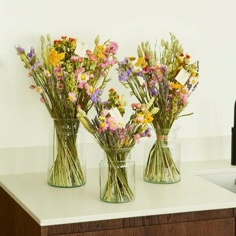 Droogbloemen - Multi - Large