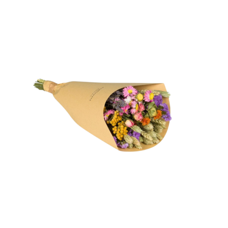 Droogbloemen - Multi - Small
