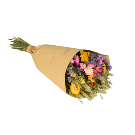 Droogbloemen - Multi - Medium